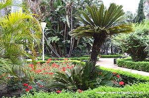 252- Malaga paseo de Espana